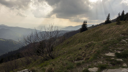 Scenic view of landscape against sky