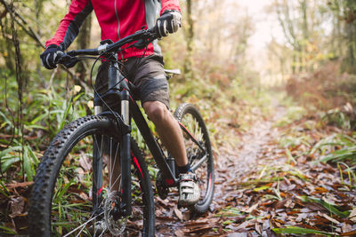 Low section of person riding bicycle in forest