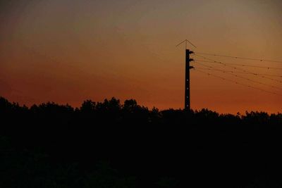 Silhouette of trees at sunset