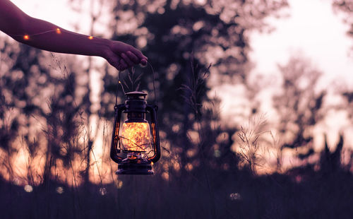 Cropped hand of woman holding illuminated lantern against trees