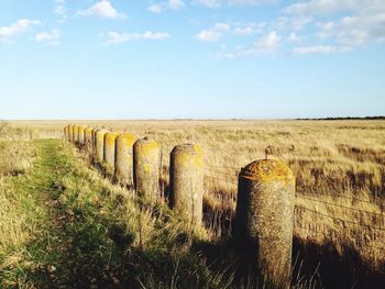 Scenic view of grassy field against cloudy sky