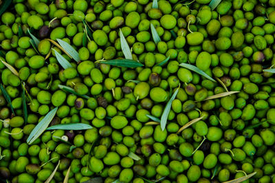 Full frame shot of green market