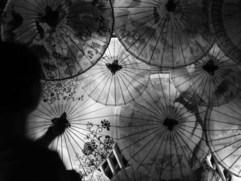 Low angle view of flowers