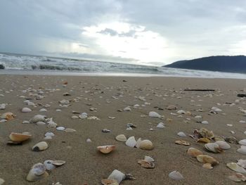 Scenic view of beach against sky