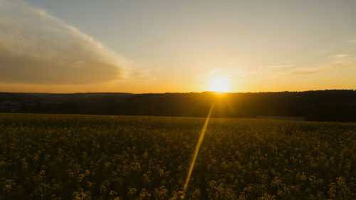 Scenic view of field against sky during sunset
