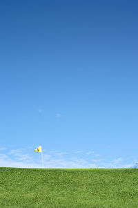 Flag pole on golf course