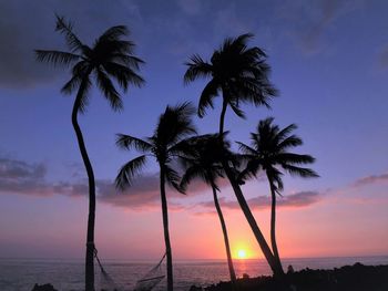 Silhouette palm trees on beach against sky during sunset