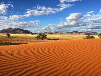 Scenic arid landscape