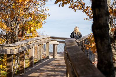 Rear view of woman sitting on footpath by trees during autumn