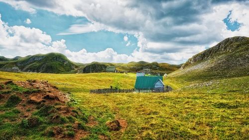 Scenic view of field against sky