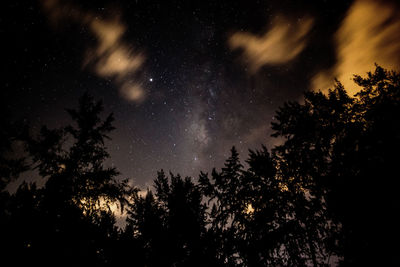 Low angle view of silhouette trees against sky at night