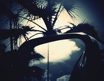 Silhouette palm trees against sky seen through window