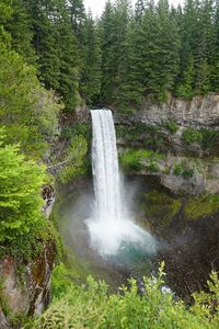 Scenic view of waterfall in forest