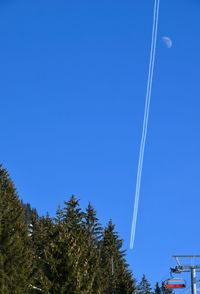 Low angle view of trees against clear blue sky