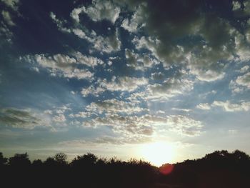 Low angle view of silhouette trees against sky during sunset