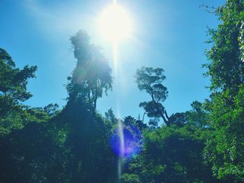 Low angle view of trees against blue sky