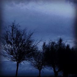 Low angle view of silhouette trees against sky