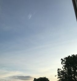 Low angle view of silhouette trees against sky