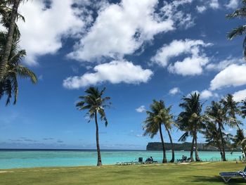 Palm trees on beach against sky