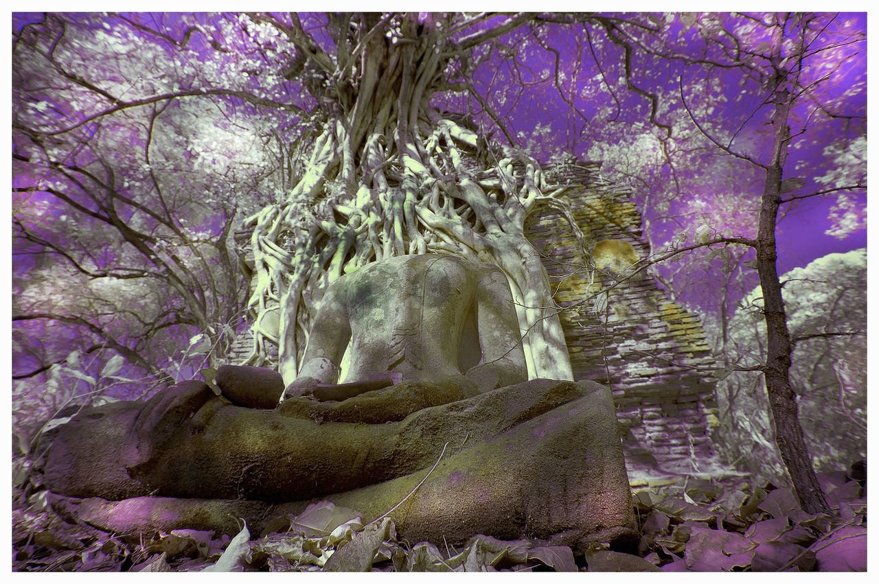 LOW ANGLE VIEW OF STATUE BY TREES