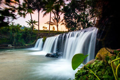 Scenic view of waterfall in forest