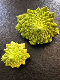 High angle view of green leaf on table