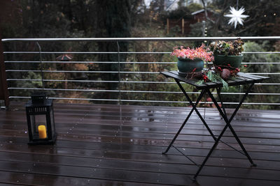Close-up of potted plant on table