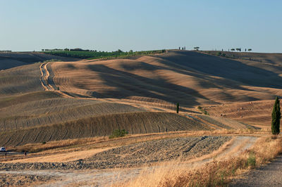 Wavy hills in tuscan farmland