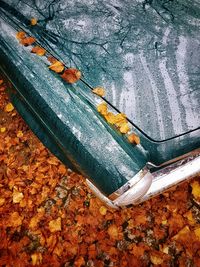 High angle view of autumn leaves on car