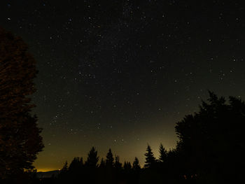 Low angle view of trees against starry sky at night