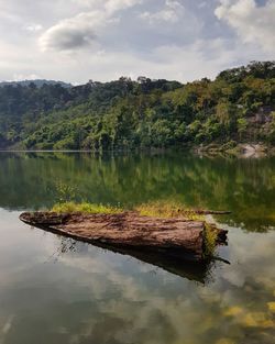 Reflection of tree in lake against sky