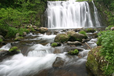 Scenic view of waterfall in forest