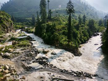 Scenic view of river in forest against sky