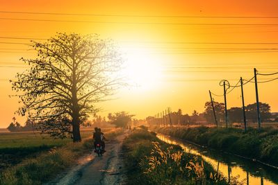 Road amidst trees against sky during sunset