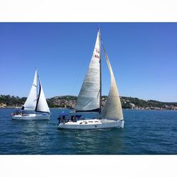 Boats sailing in sea