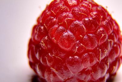 Close-up of red chili pepper