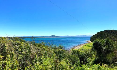 Scenic view of sea against clear blue sky