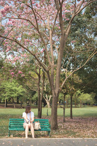 Full length of woman sitting on bench in park