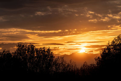 Scenic view of sunset