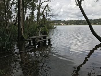 Scenic view of lake in forest against sky