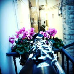 Close-up of flowers on bicycle in city