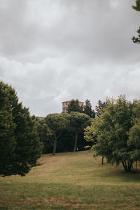 Trees on field against sky