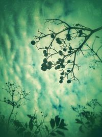 Low angle view of bare tree against cloudy sky
