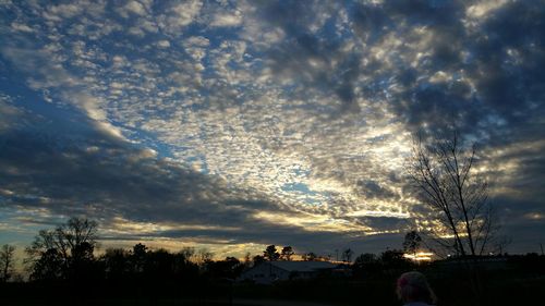 Silhouette of trees against cloudy sky at sunset