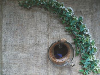 High angle view of tea on table