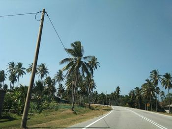 Road amidst trees against clear sky