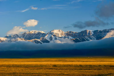 The mountains and waters around tarim lake are a unique and beautiful landscape 