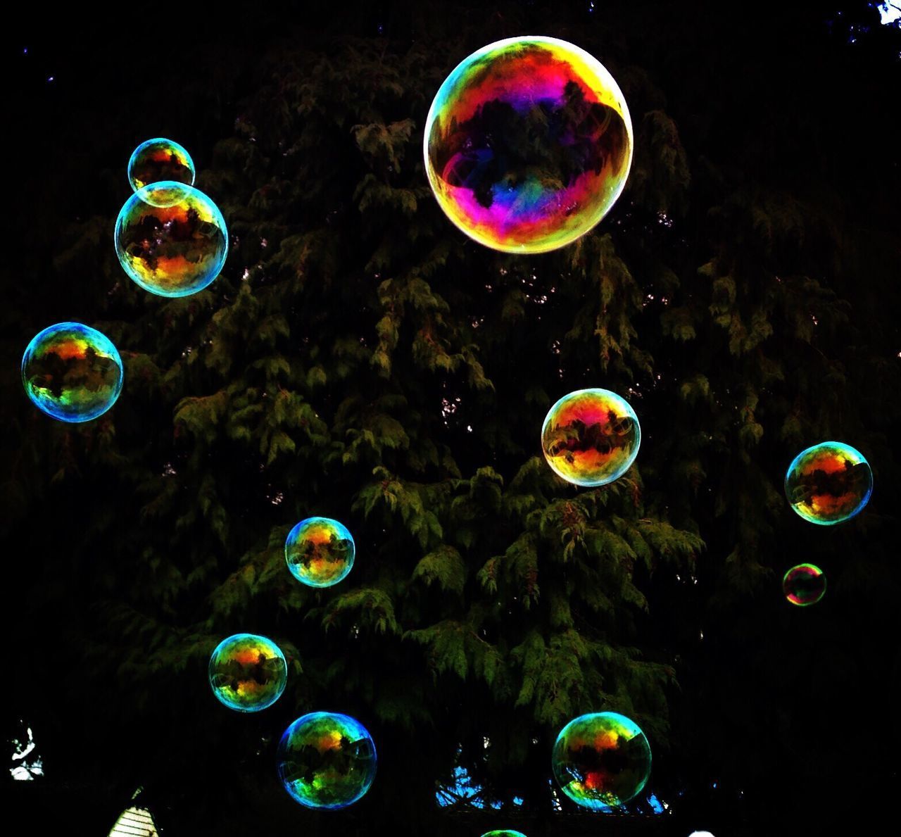 CLOSE-UP OF BUBBLES FLOATING