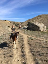 Horse riding horses
