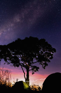 Silhouette trees against sky at night